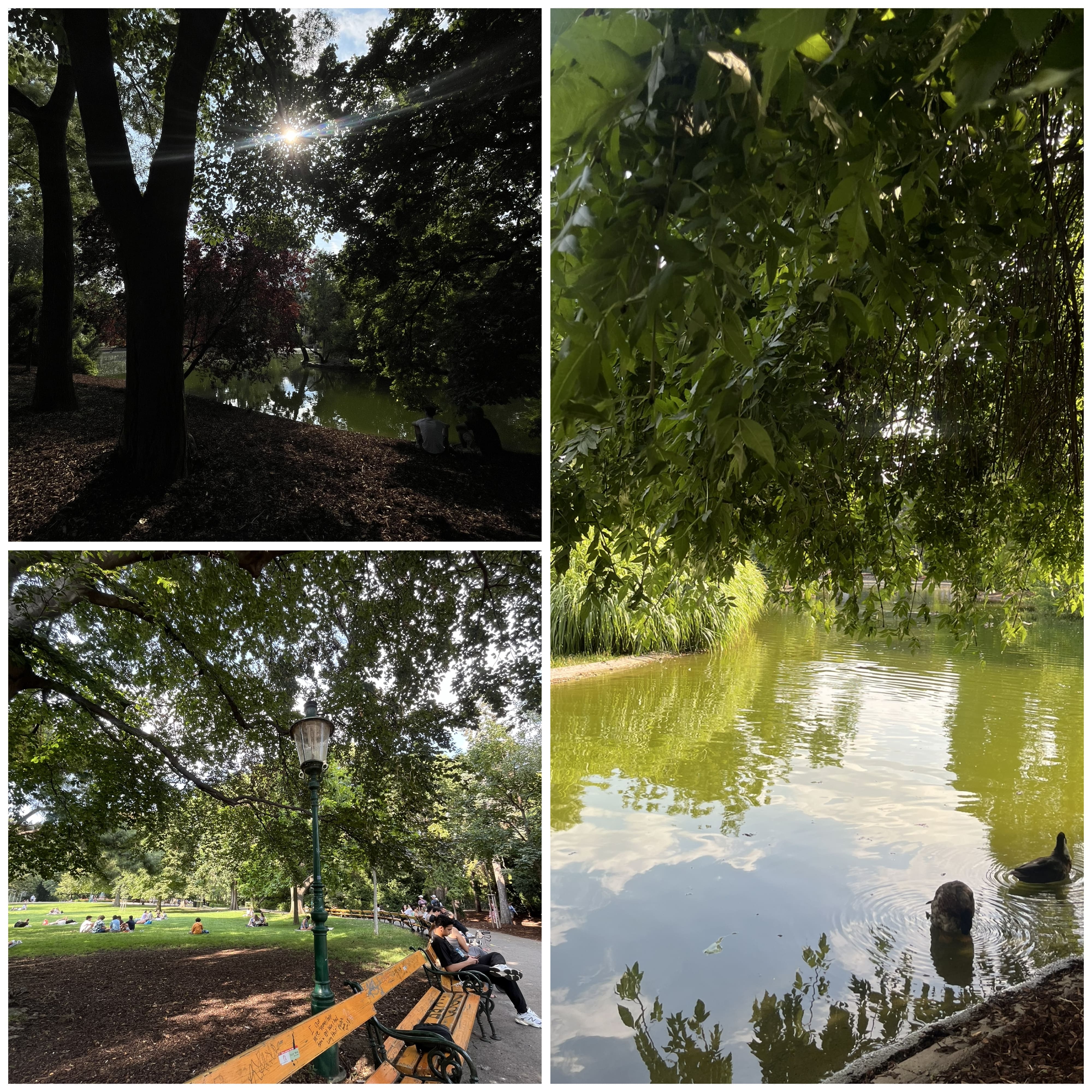 Park